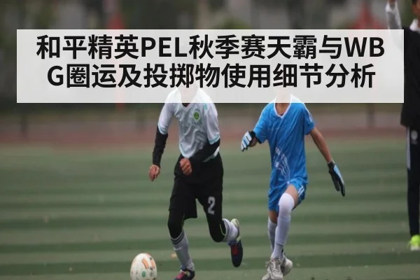 和平精英PEL秋季赛天霸与WBG圈运及投掷物使用细节分析